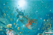 04-underwater.jpg